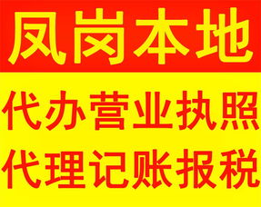 鳳崗黃洞村公司注冊、工商注冊與代理記賬公司選擇指南及廣告設計服務淺析